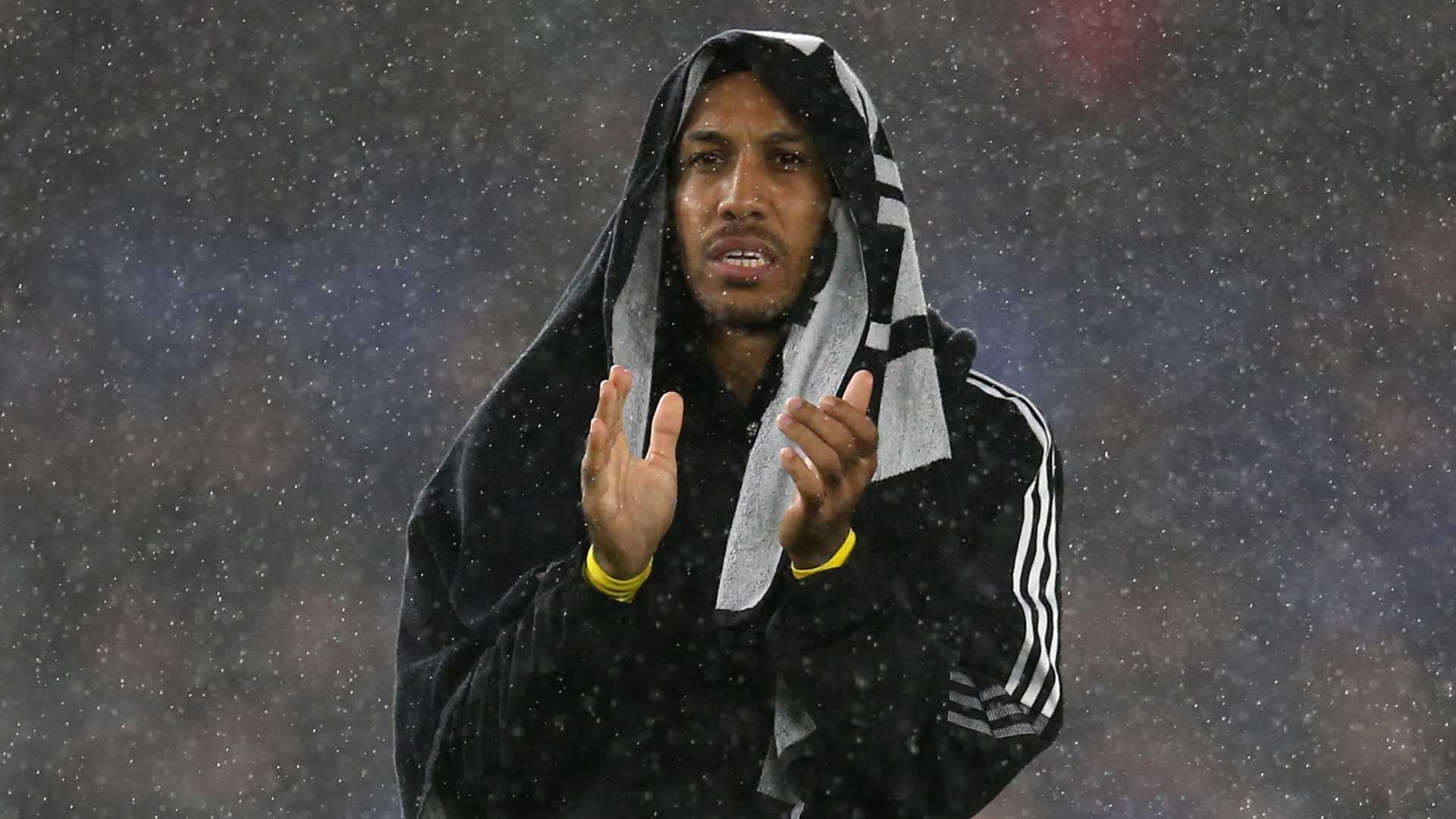 据此推测 据此推测